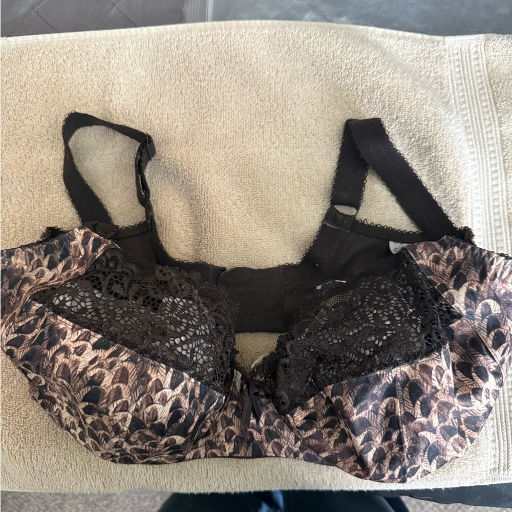 Elegant Black and Brown Lace Bra
